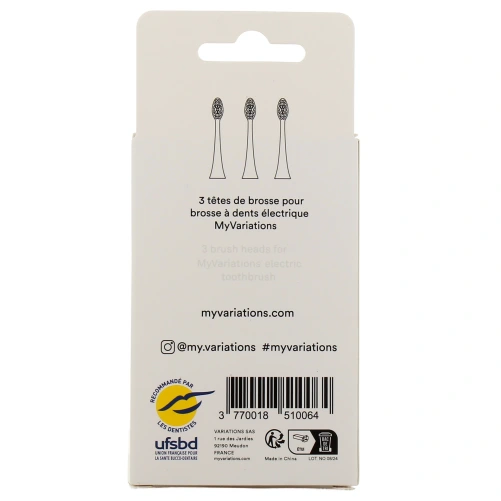 My Variations Têtes de Brosse