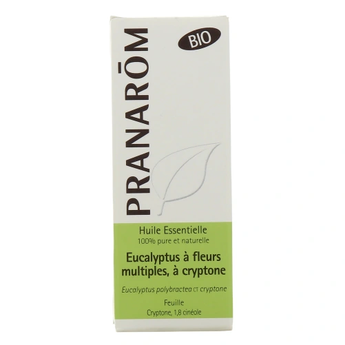 Pranarom Huile Essentielle Eucalyptus à Fleurs Multiples, à Cryptone Bio
