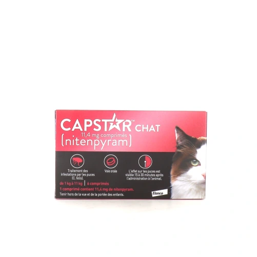 Capstar Chat Traitement Anti-Puces