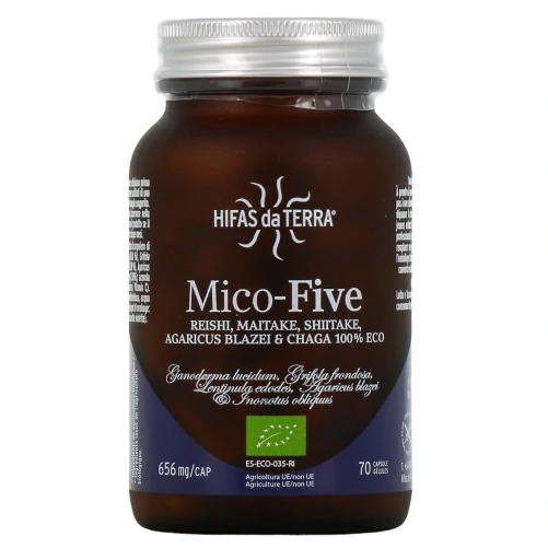 Hifas da Terra Mico-Five