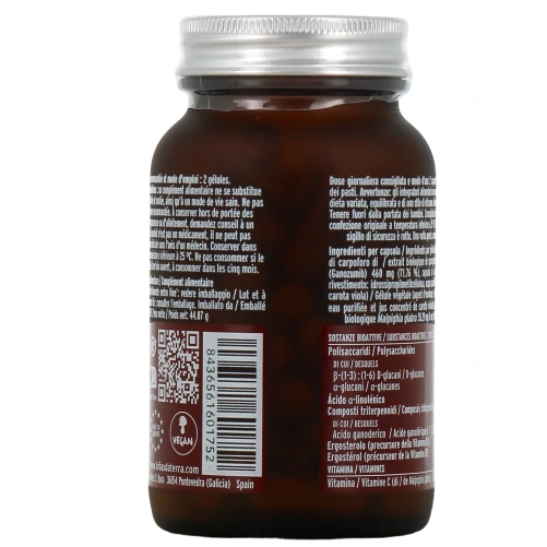 Hifas da Terra Mico-Rei