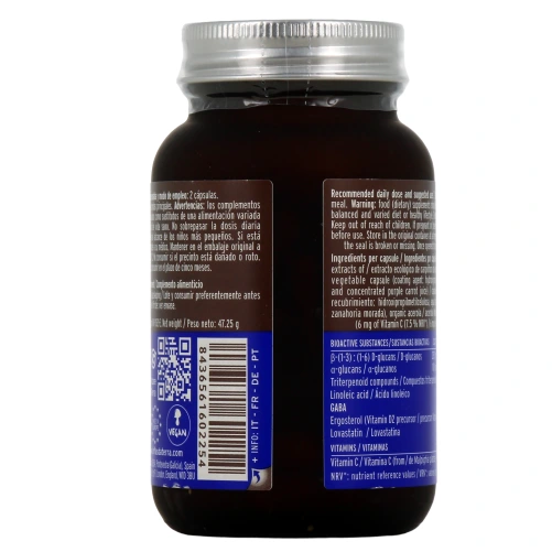 Hifas da Terra Mico-Sol