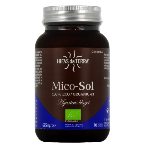 Hifas da Terra Mico-Sol
