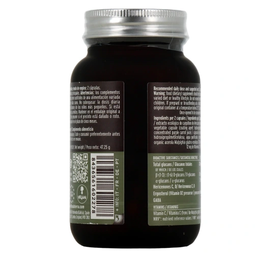 Hifas da Terra Mico-Leo