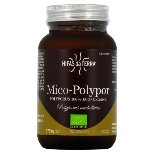 Hifas da Terra Mico-Polypor