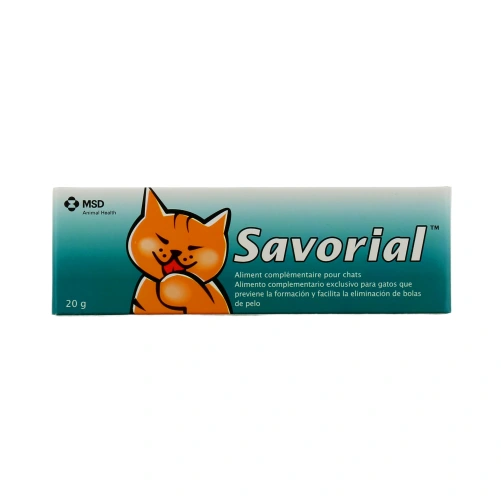 Savorial Chat