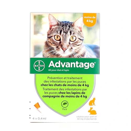 Advantage Pipettes Chat et Lapin