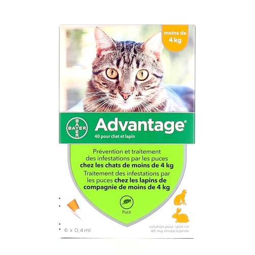 Advantage Pipettes Chat et Lapin