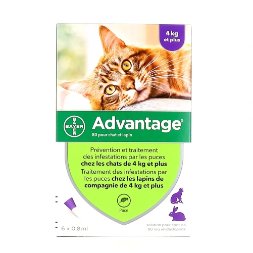 Advantage Pipettes Chat et Lapin