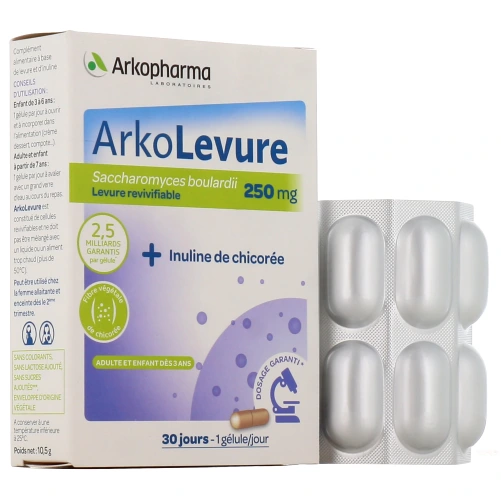 Arkolevure 250 mg en gélules