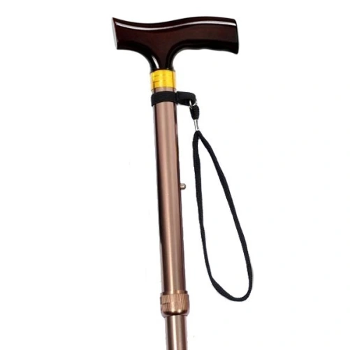 Identités Canne de marche pliable