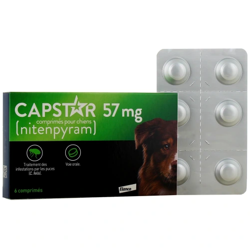 Capstar Chien Traitement Anti-Puces