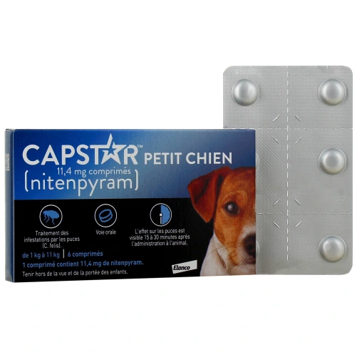 Capstar Chien Traitement Anti-Puces