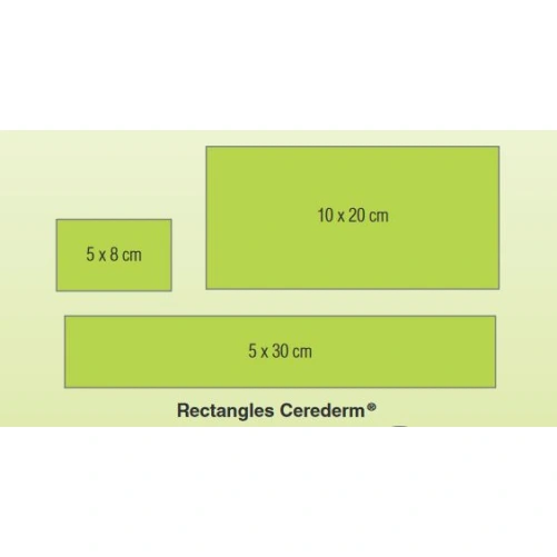 Cerederm Pansement Siliconé Rectangulaire