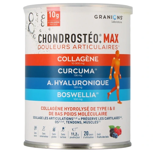 Chondrosteo+ Max Douleurs Articulaires