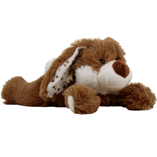 Cozy Peluche Bouillotte