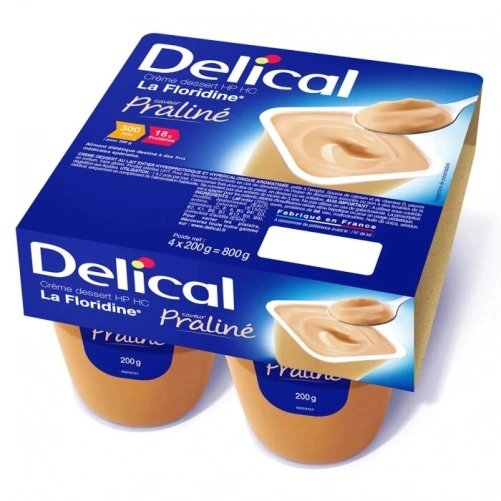 Delical Crème Dessert HP HC La Floridine