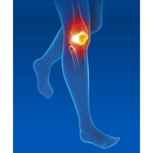 Epitact Genouillère Ligamentaire