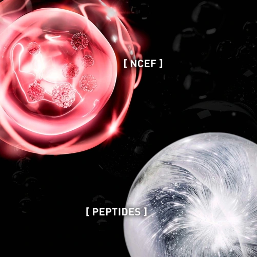 Filorga UV Cellular Protect Visage SPF50+