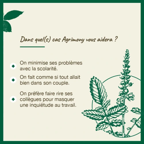 Fleurs de Bach Agrimony n°1