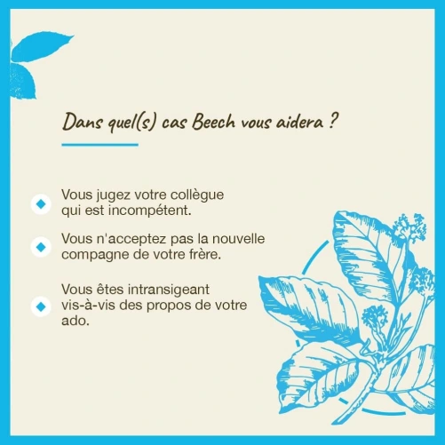 Fleurs de Bach Beech n°3