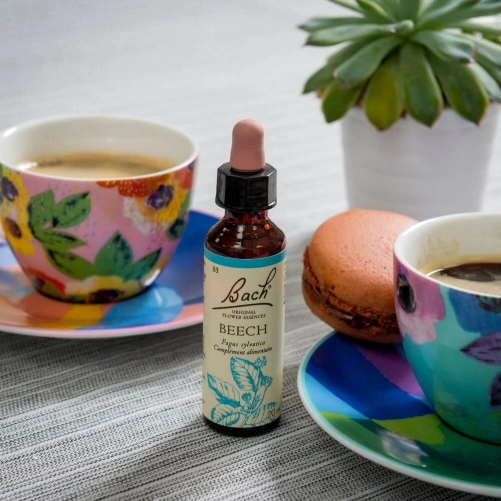 Fleurs de Bach Beech n°3