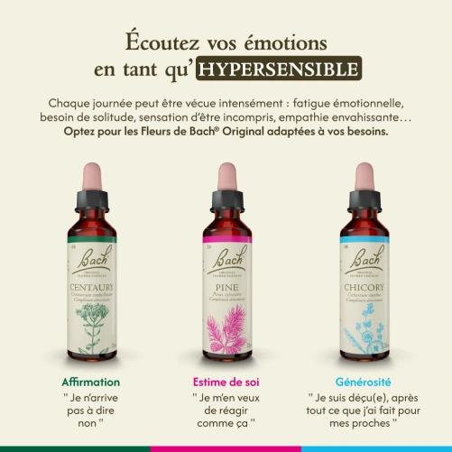 Fleurs de Bach Centaury n°4