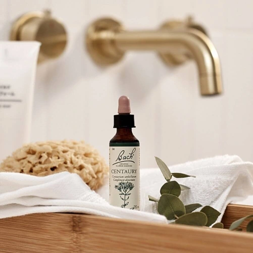 Fleurs de Bach Centaury n°4