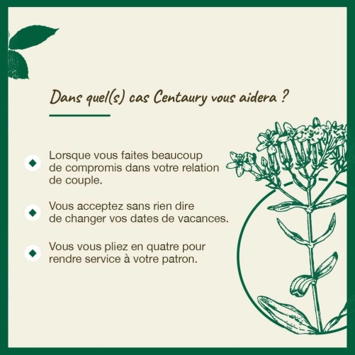 Fleurs de Bach Centaury n°4
