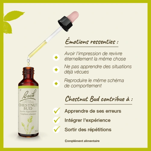Fleurs de Bach Chestnut Bud n°7