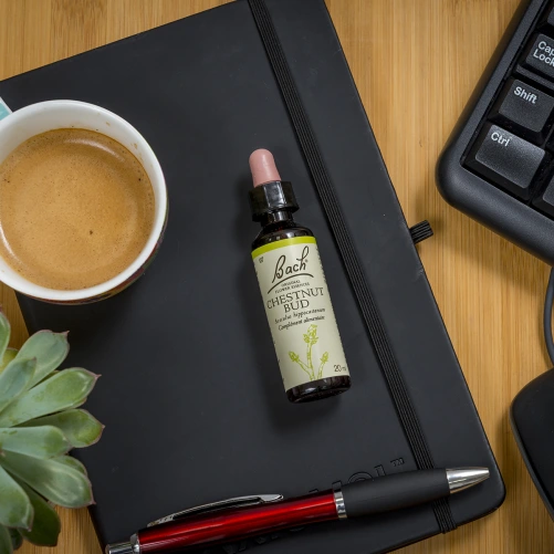 Fleurs de Bach Chestnut Bud n°7