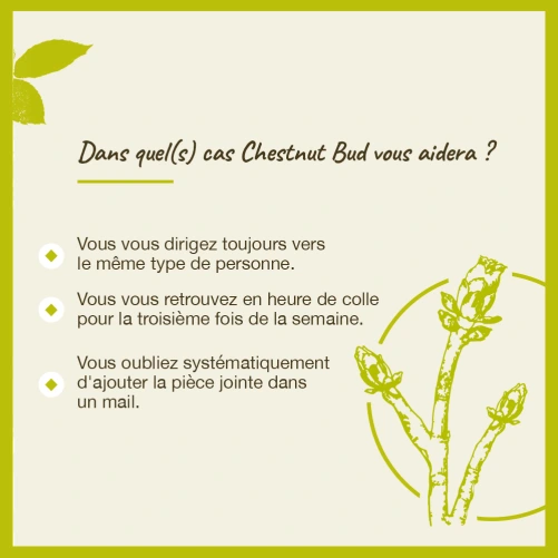 Fleurs de Bach Chestnut Bud n°7