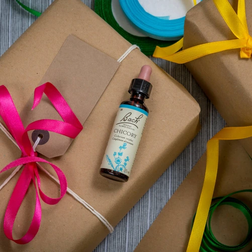 Fleurs de Bach Chicory n°8