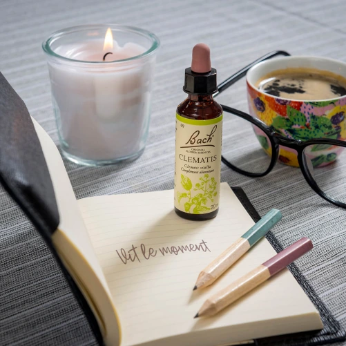 Fleurs de Bach Clematis n°9