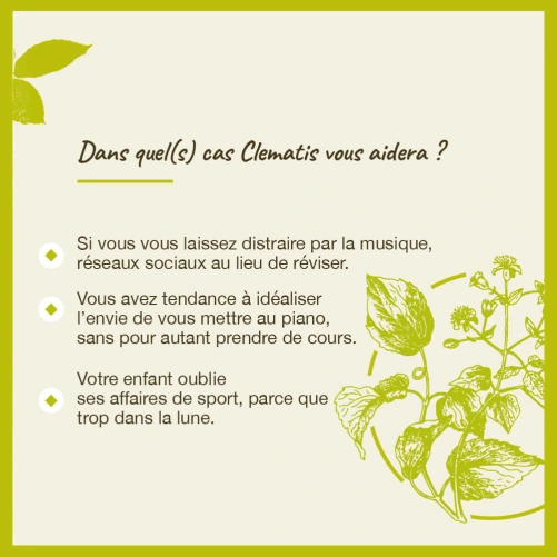 Fleurs de Bach Clematis n°9