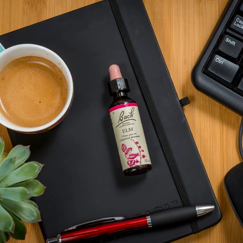 Fleurs de Bach Elm n°11