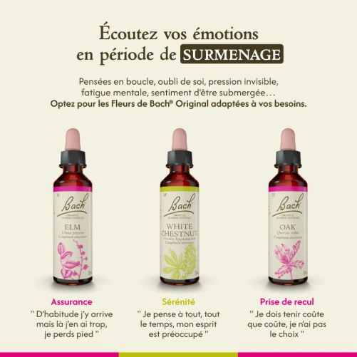 Fleurs de Bach Elm n°11