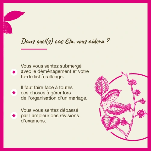 Fleurs de Bach Elm n°11