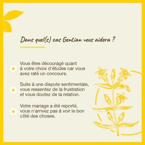 Fleurs de Bach Gentian n°12