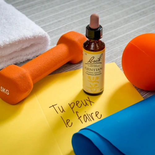 Fleurs de Bach Gentian n°12