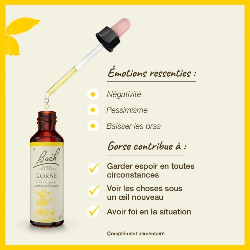 Fleurs de Bach Gorse n°13