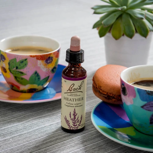 Fleurs de Bach Heather n°14