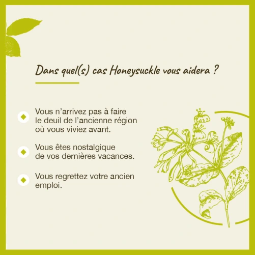 Fleurs de Bach Honeysuckle n°16