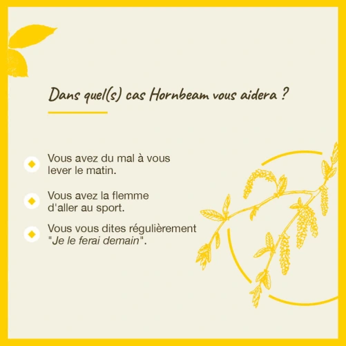 Fleurs de Bach Hornbeam n°17