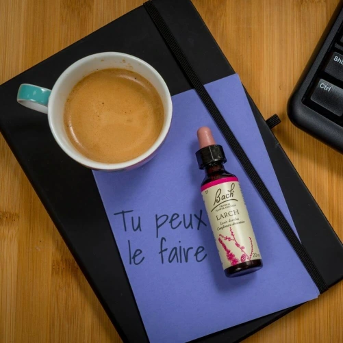 Fleurs de Bach Larch n°19