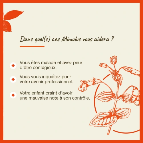 Fleurs de Bach Mimulus n°20