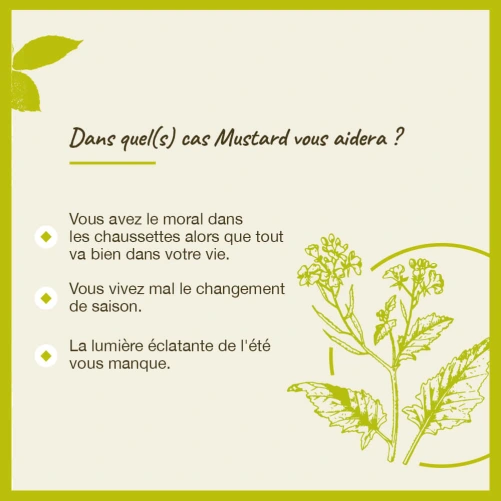 Fleurs de Bach Mustard n°21