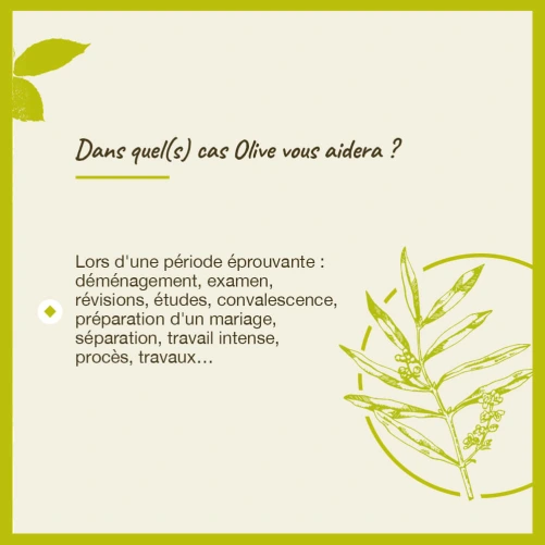 Fleurs de Bach Olive n°23