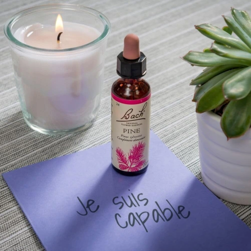 Fleurs de Bach Pine n°24
