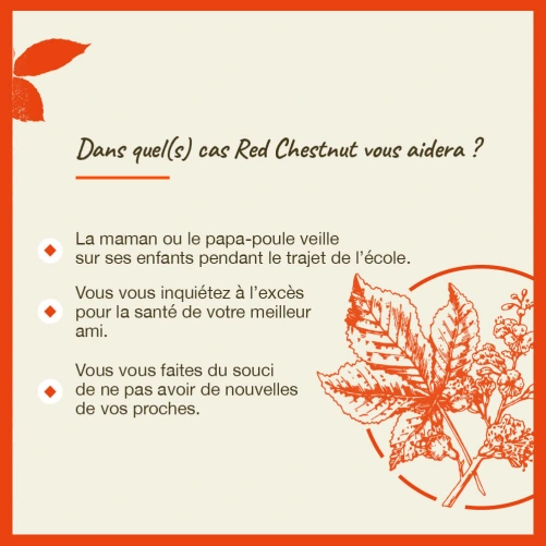 Fleurs de Bach Red Chestnut n°25